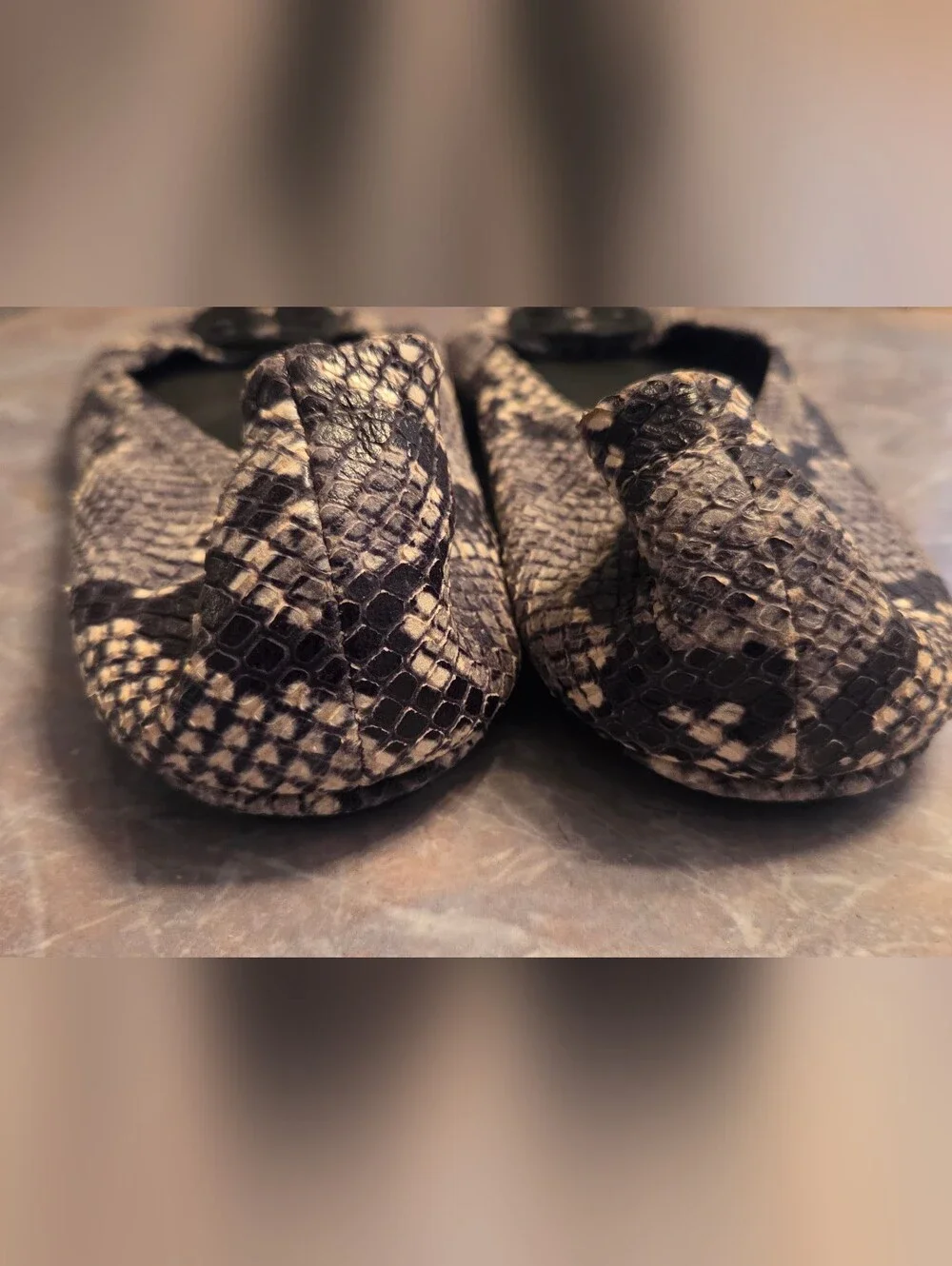 Tory Burch Snake Print Reva Flats in Black and Cream